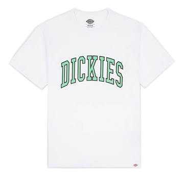 Dickies T-shirt Aitkin White / Apple mint